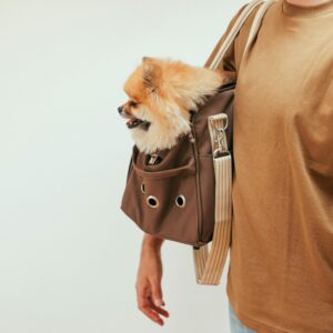 A Pomeranian sitting in a trendy brown pet carrier held by a man wearing a brown shirt.